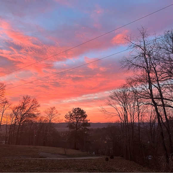 Meet your Posher, Jodi - Picture 11 of 16